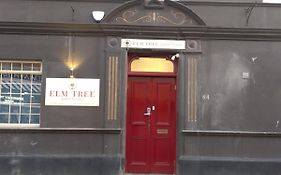 Elm Tree Guest House